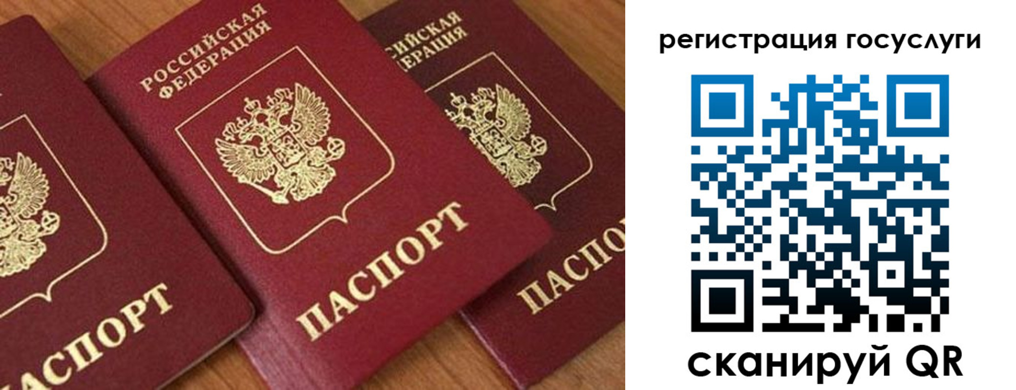 временная регистрация гарантия в Палласовке