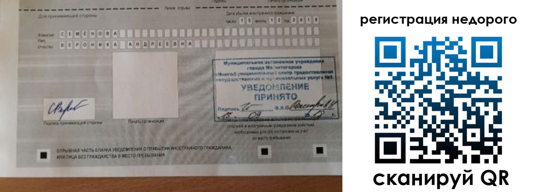 прописка гарантия в Палласовке